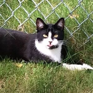 Meet your Posher, Dawn